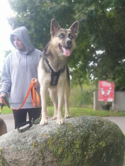 Zeigt eure Portraits-Beitrag-Bild