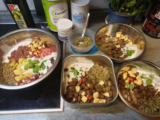 Zeigt her Eure Futternäpfe-Beitrag-Bild