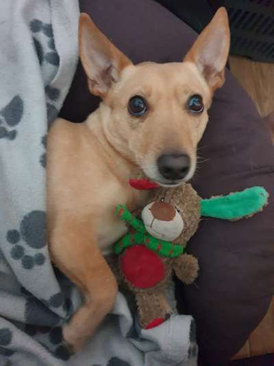 Fotochallange Nr. 57     PORTRÄT.   Beendet!!!!!!!!-Beitrag-Bild