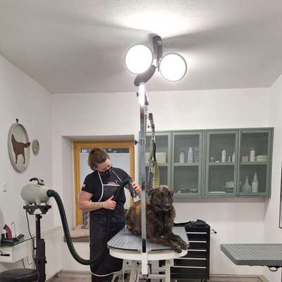 %{de_profession_title}-Komplettpflege großer Hund-Bild