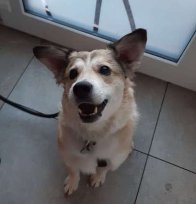 Von oben-Beitrag-Bild