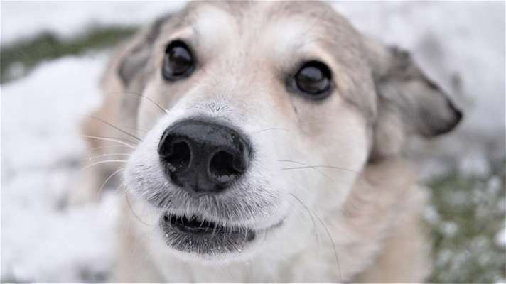 Lieblingsbild-Beitrag-Bild