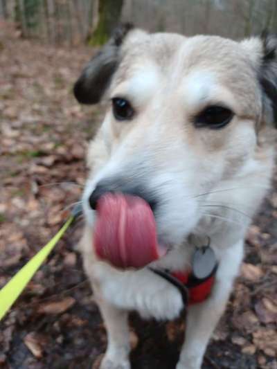 Un...scharf Bilder-Beitrag-Bild