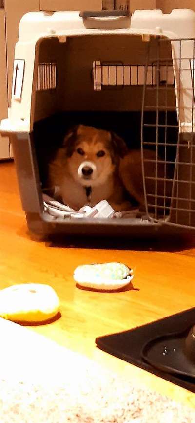 Das erste Foto-Beitrag-Bild