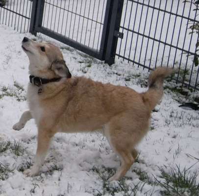 Her mit dem Grimassen-Beitrag-Bild