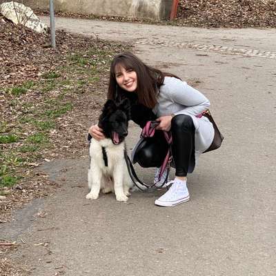 Hundetreffen-Spielpartner gesucht-Profilbild