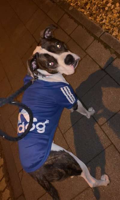 10. Farben Foto-Challenge ---- Blau-Beitrag-Bild