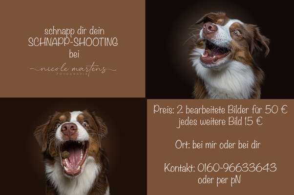 Giftköder-Indoor Shooting-Bild