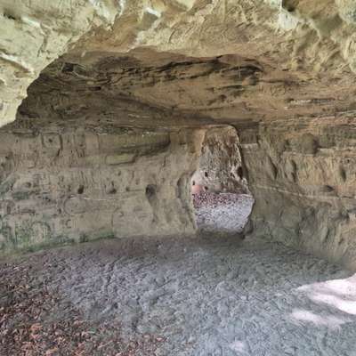 Hundeauslaufgebiet-Heidenhöhlen-Bild