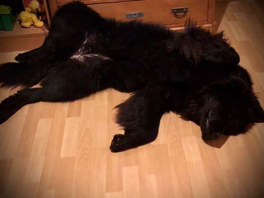 Fotochallenge Nr.65-Beitrag-Bild