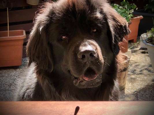 Fotochallange Nr. 57     PORTRÄT.   Beendet!!!!!!!!-Beitrag-Bild