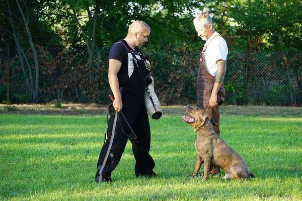 Hundeschulen-SV OG Babenhausen-Bild