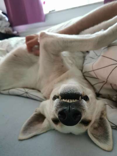 Die unbequemsten und lustigsten Schlafpositionen-Beitrag-Bild