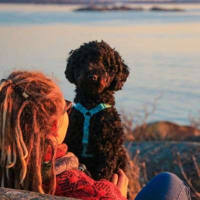 Hundetreffen-Hundtreffen mit kindern-Profilbild