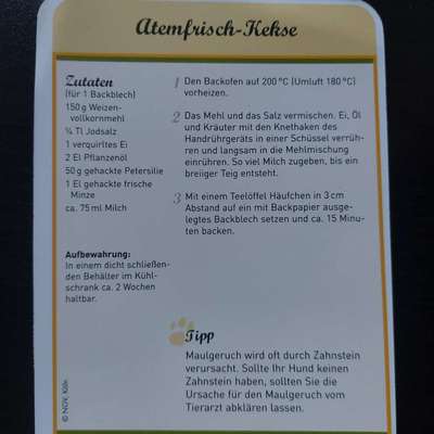 aktuelles Foto Gruppe Backen für Hunde