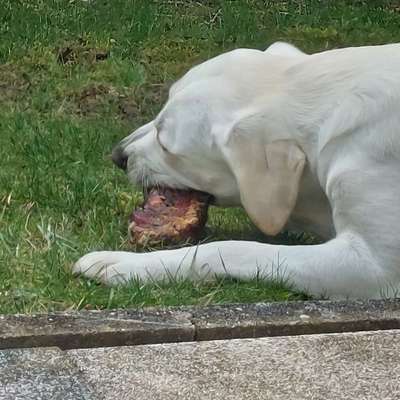 Zahnstein verhindern?-Beitrag-Bild