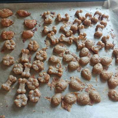 aktuelles Foto Gruppe Backen für Hunde