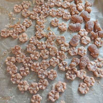 aktuelles Foto Gruppe Backen für Hunde