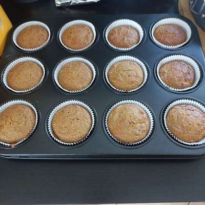 aktuelles Foto Gruppe Backen für Hunde