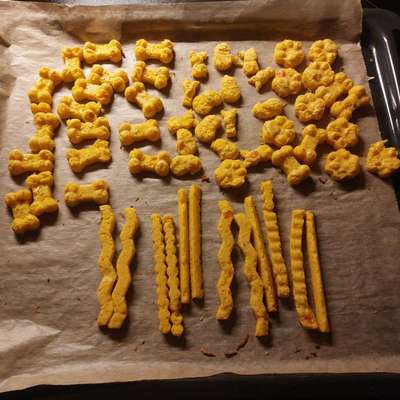 aktuelles Foto Gruppe Backen für Hunde