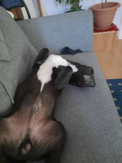 FOTO-Challenge  NR. 91: Die pure Entspannung-Beitrag-Bild