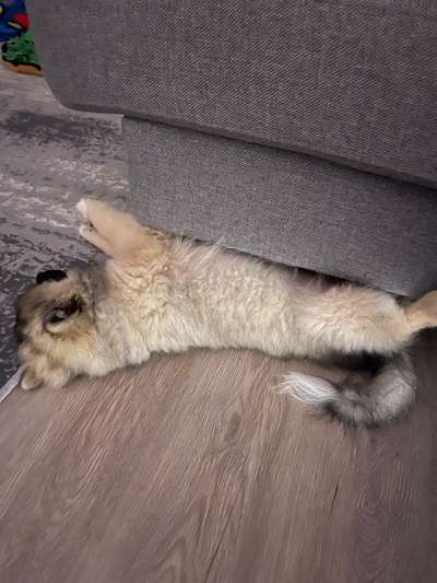 Die unbequemsten und lustigsten Schlafpositionen-Beitrag-Bild