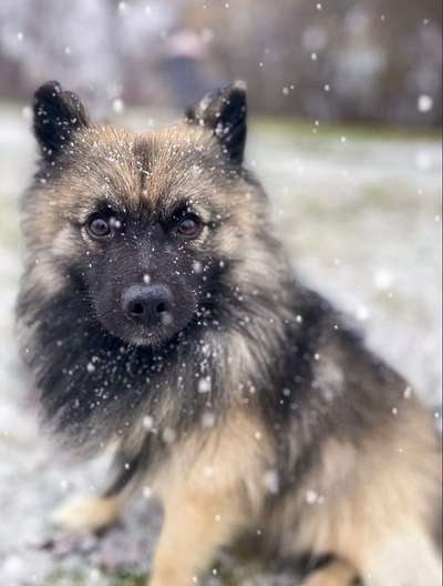 Der erste Schnee, zeigt uns eure tollen Schneemomente-Beitrag-Bild