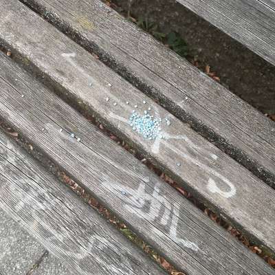 Giftköder-Evtl. Blaukorn auf der Bank-Bild