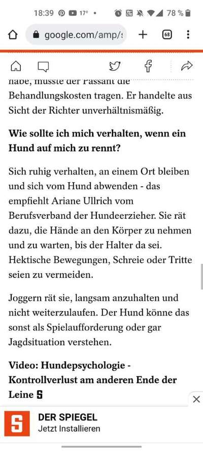 Freilaufender Hund bedrängt mich und meinen Junghund-Beitrag-Bild