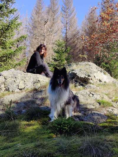 Dogorama Photo Challenge - Gassipause-Beitrag-Bild