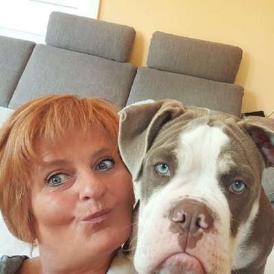 Hundetreffen-Bollerkopp sucht Bollerkopp-Profilbild