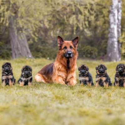 Giftköder-Fotoshooting-Bild