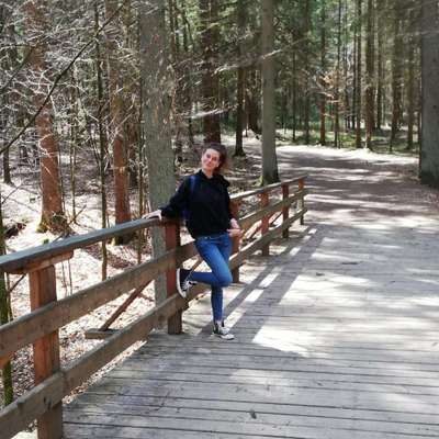 Hundetreffen-Gassirunde