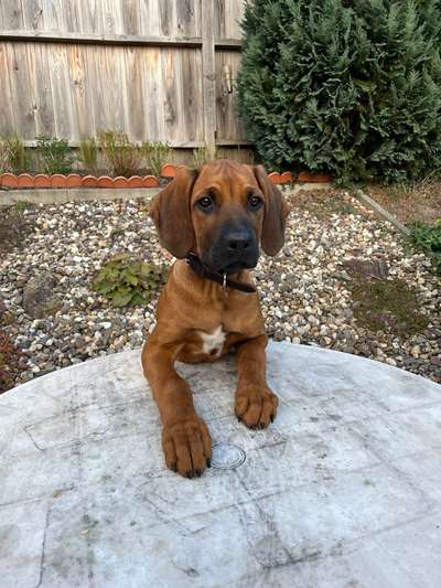 Sie werden so schnell erwachsen ...-Beitrag-Bild