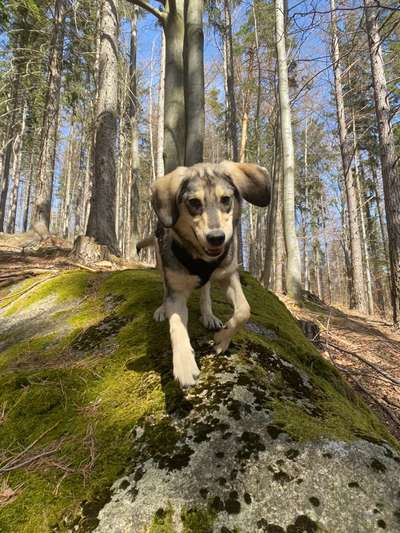 Fotowettbewerb Natur-Beitrag-Bild