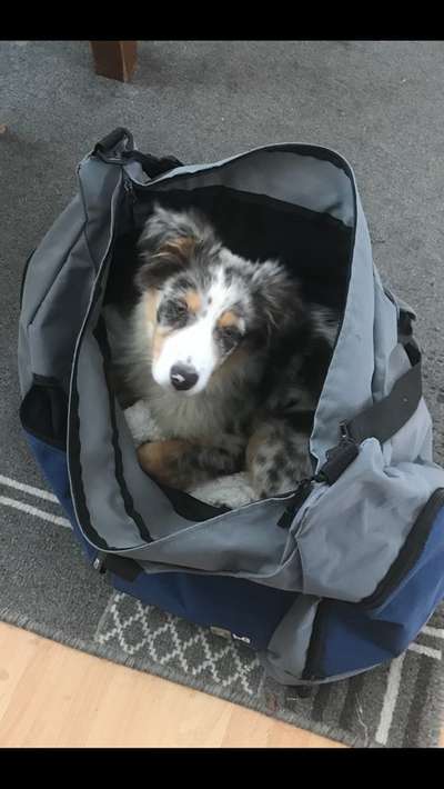 Handy-Foto Challange Nr. 10-Beitrag-Bild