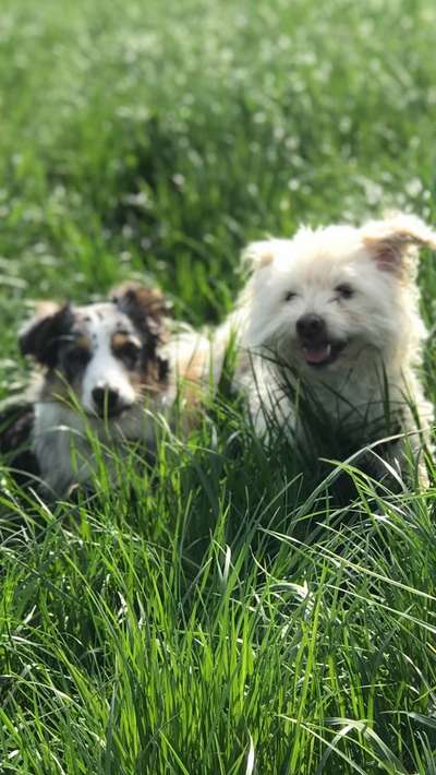 Handy-Foto-Challange Nr.9-Beitrag-Bild