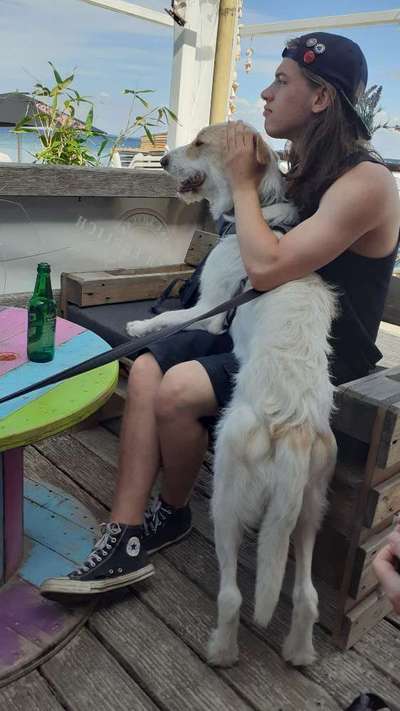 Dogorama Photo Challenge - Urlaubsziele-Beitrag-Bild