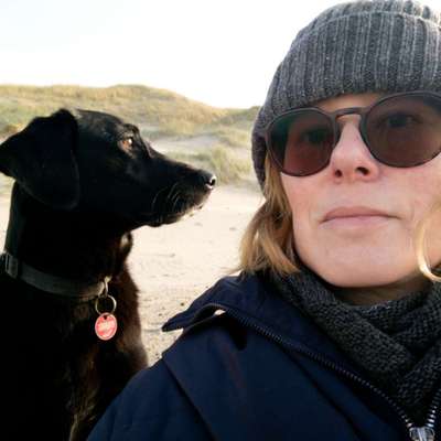 Hundetreffen-Mittagstreff an der Moorweide-Profilbild