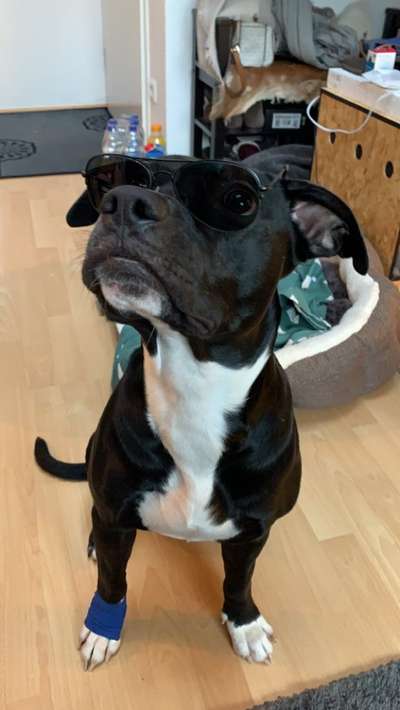 Handy-Foto Challange Nr. 10-Beitrag-Bild