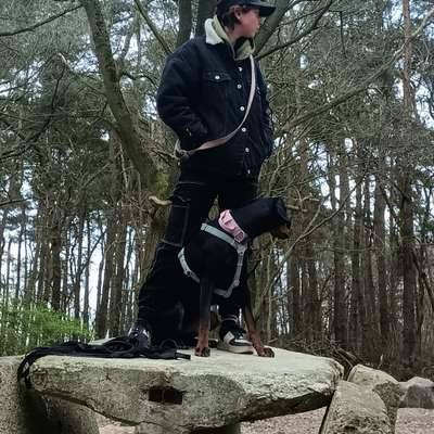 Hundetreffen-Spielpartner, gassi Partner