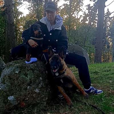 Hundetreffen-Spielpartner, gassi Partner-Profilbild