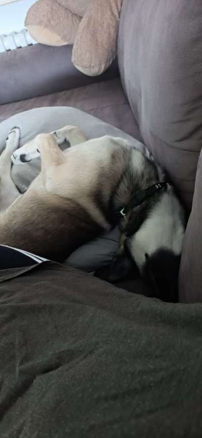 Verrückte Schlafpositionen-Beitrag-Bild