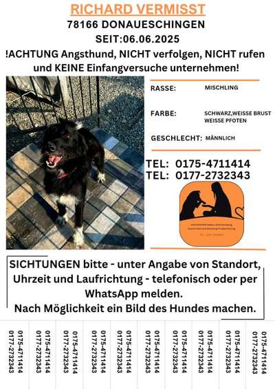 Suchmeldung-Richard-Bild
