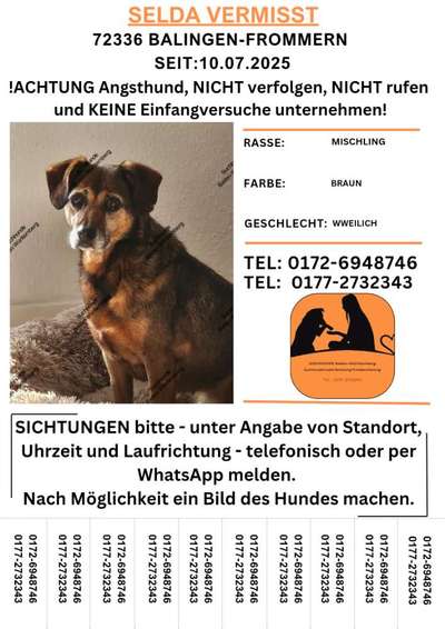 Suchmeldung-Selda-Bild