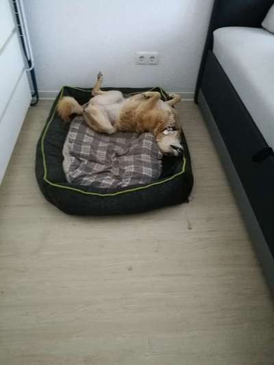 Die unbequemsten und lustigsten Schlafpositionen-Beitrag-Bild