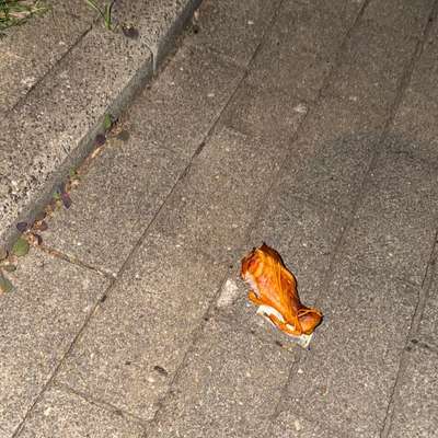 Giftköder-Möglicherweise Giftköder-Bild