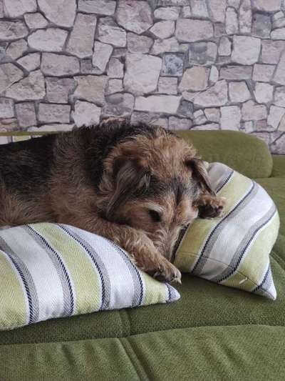 Lieblingsbild-Beitrag-Bild