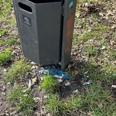 Giftköder-Blaues Korn an Mülleimer-Bild