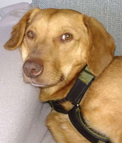 150. Foto Challaenge:  Die Augen, der Spiegel der Seele-Beitrag-Bild